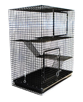 c-430203.jpg